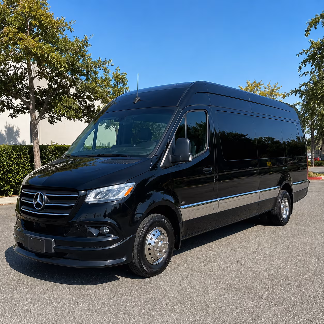 arrange transportation for your next birthday 4