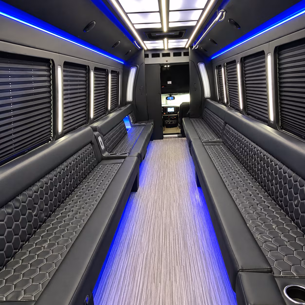 gilbert birthday party bus rental